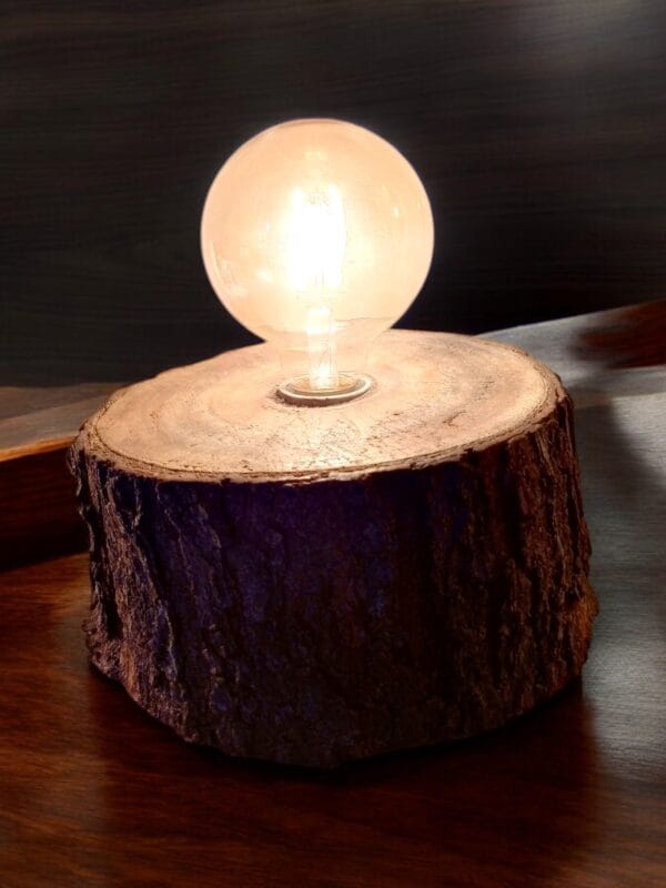 natural bark log LED Edison lamp